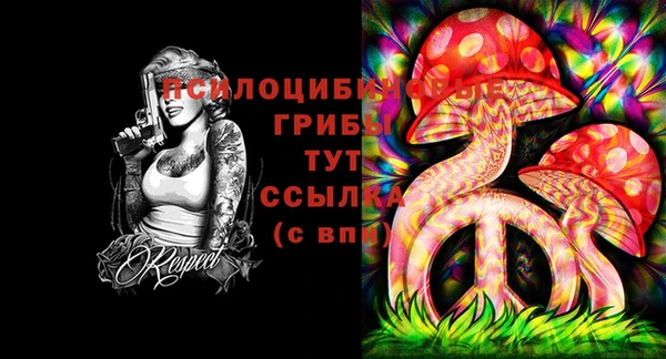 стафф Вяземский